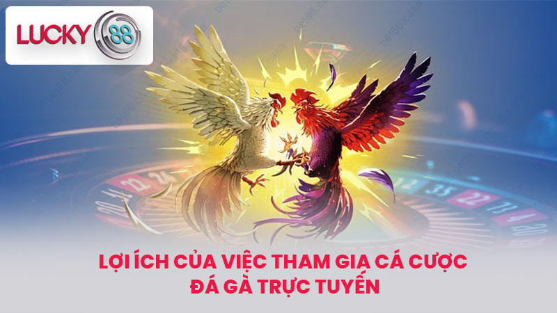 Lợi ích của việc tham gia cá cược đá gà trực tuyến