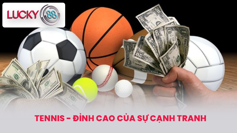 Tennis - Đỉnh cao của sự cạnh tranh