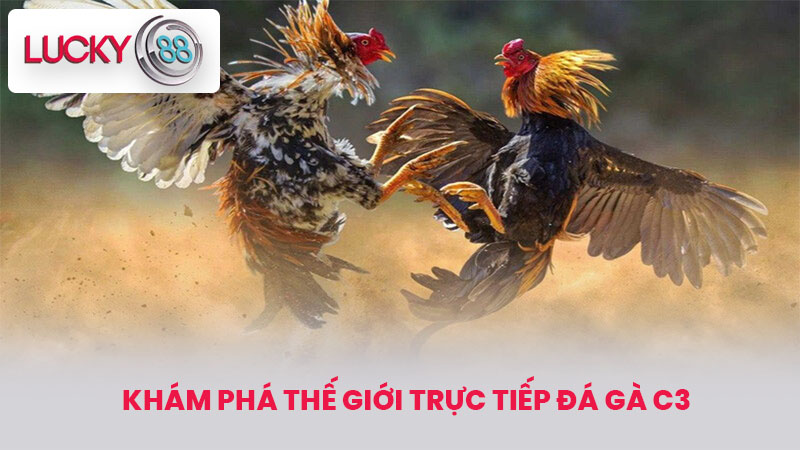 Khám Phá Thế Giới Trực tiếp đá gà c3